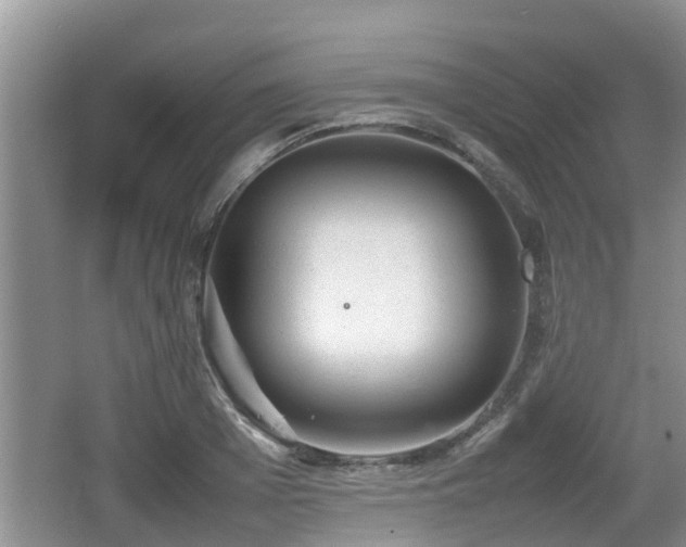 X0000062130985200512121211