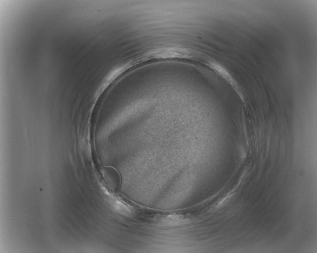 X0000062130986200512121211