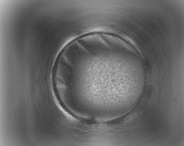 X0000062130991200512121211