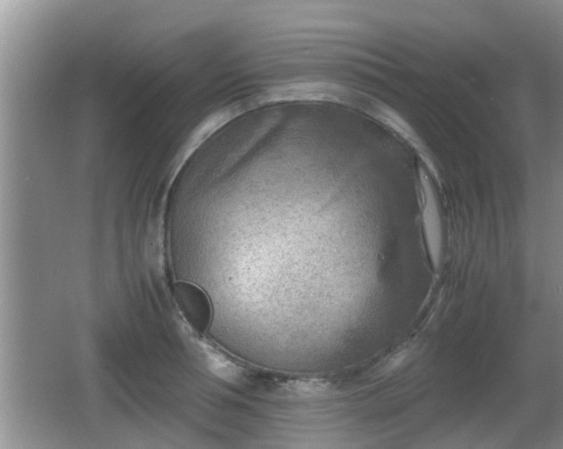 X0000062130994200512121211