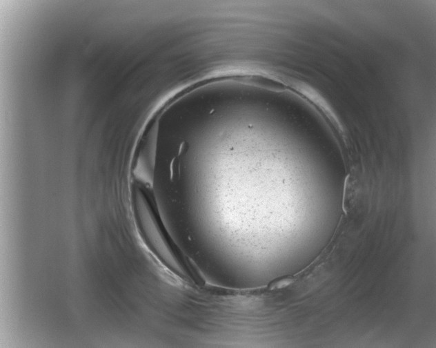 X0000062130996200512121211