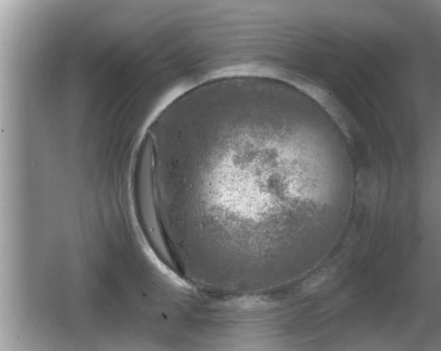 X0000062130998200512121211