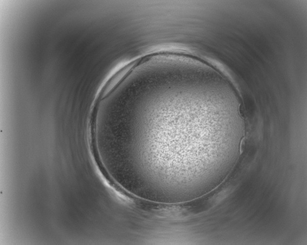 X0000062130999200512121211