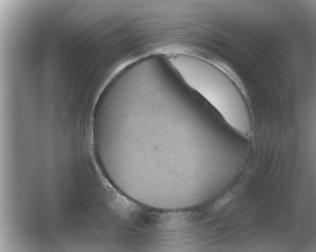 X0000062131000200512121210