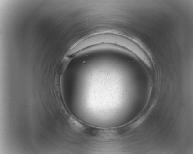 X0000062131001200512121210