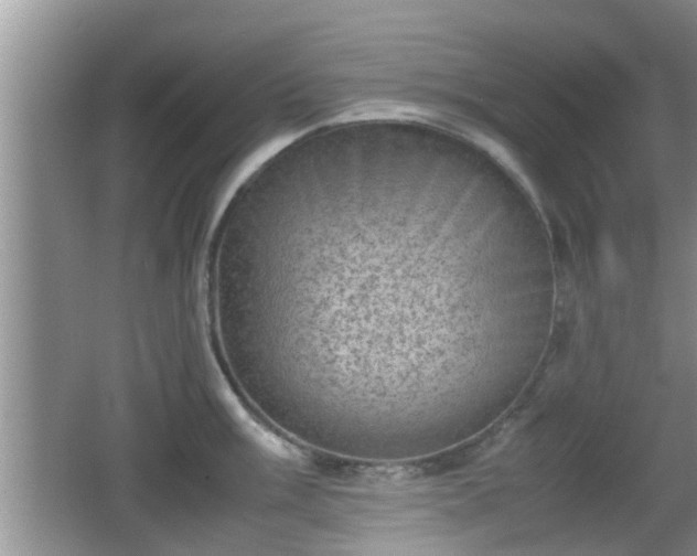 X0000062131003200512121210