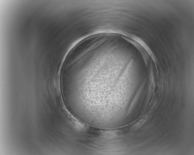 X0000062131004200512121210