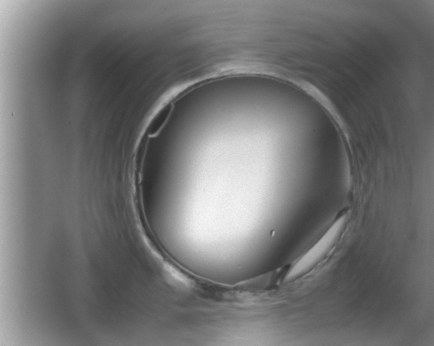 X0000062131005200512121210