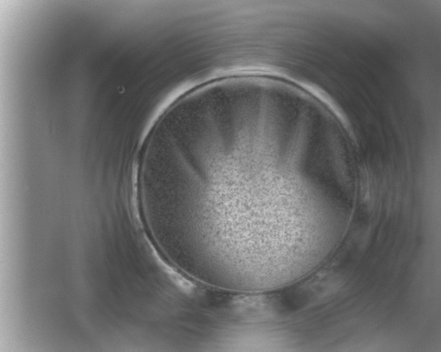 X0000062131006200512121210