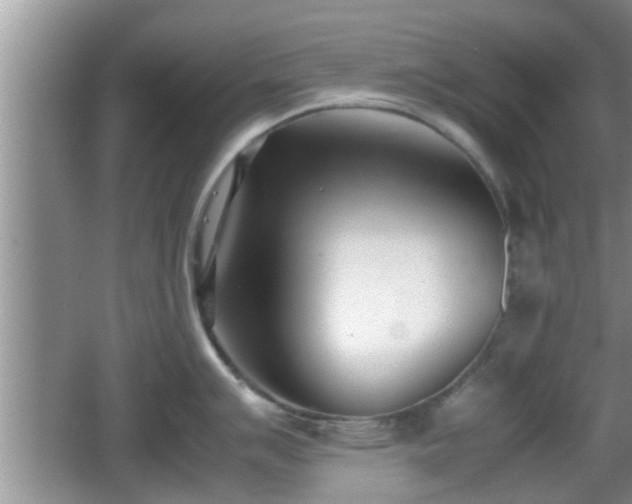 X0000062131007200512121210