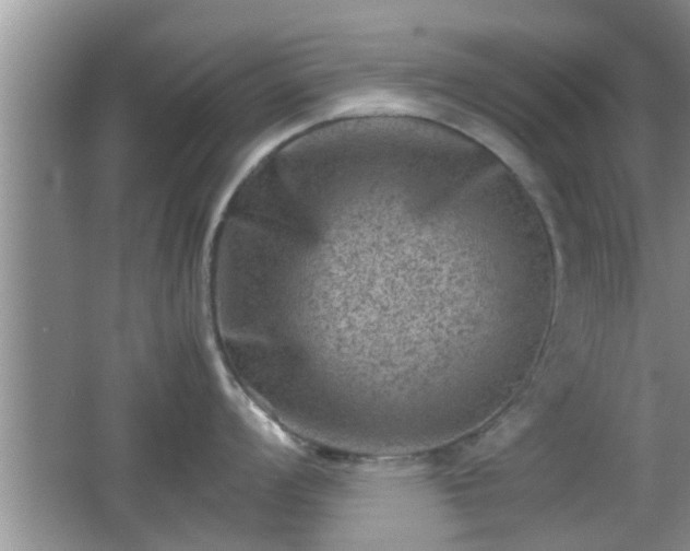 X0000062131008200512121210