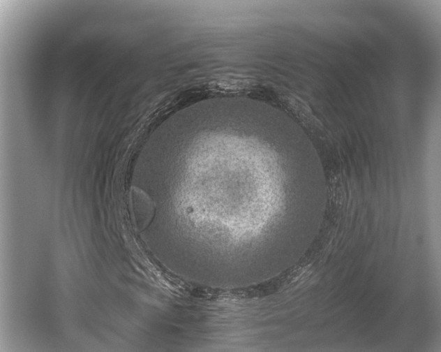 X0000062131009200512121210