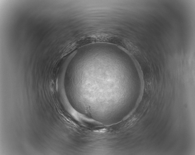 X0000062131010200512121210