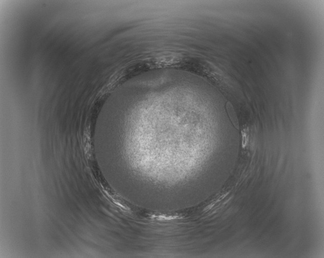 X0000062131011200512121210