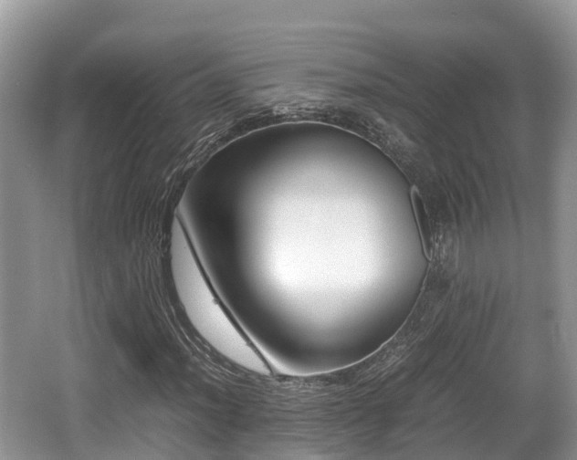 X0000062131012200512121210