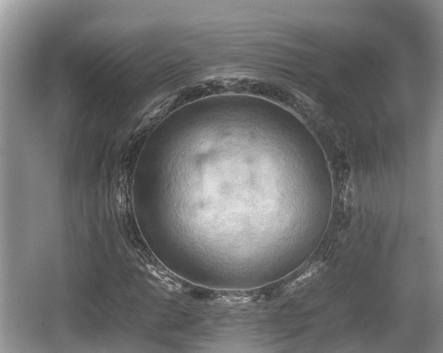 X0000062131014200512121210