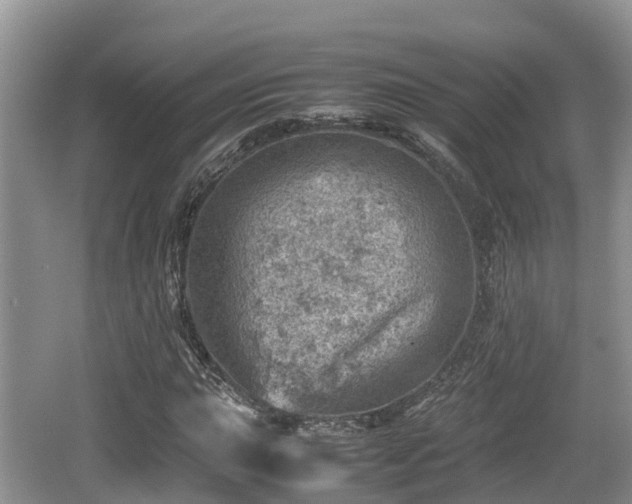 X0000062131015200512121210