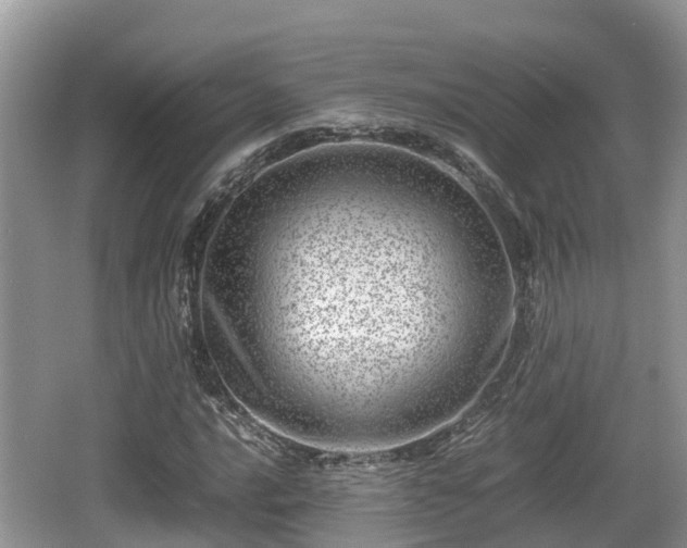 X0000062131016200512121210