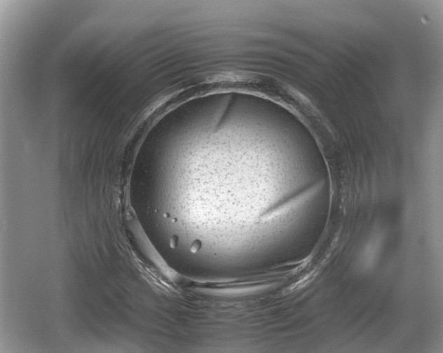 X0000062131017200512121210