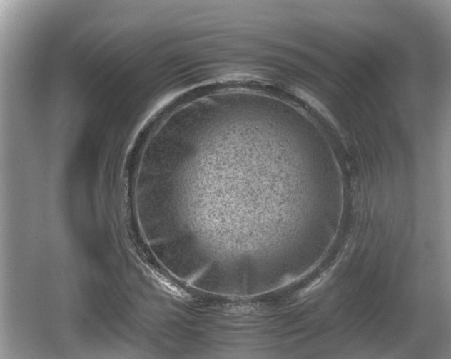 X0000062131021200512121210