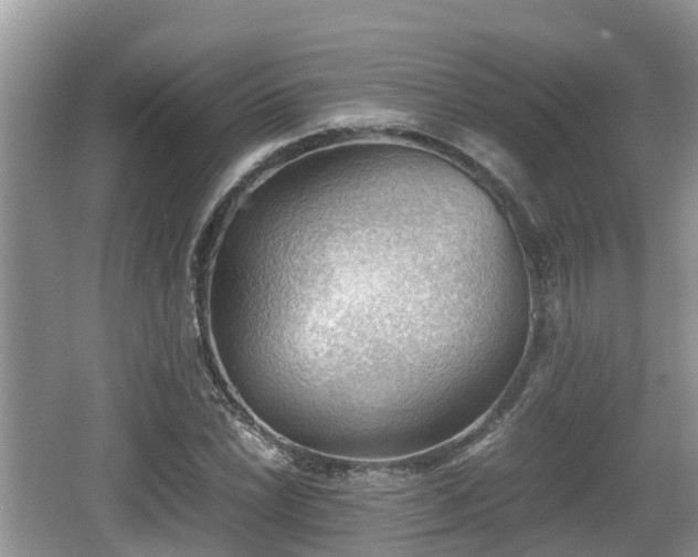 X0000062131022200512121210