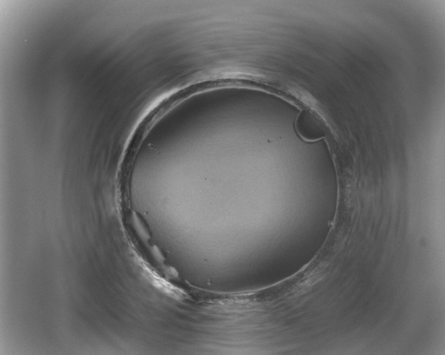 X0000062131024200512121210