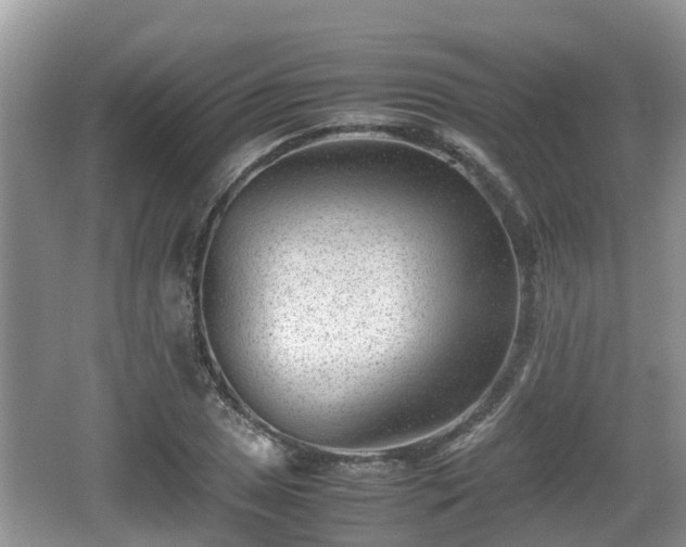 X0000062131025200512121210