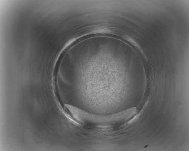 X0000062131029200512121210