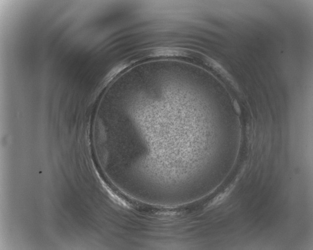 X0000062131033200512121210