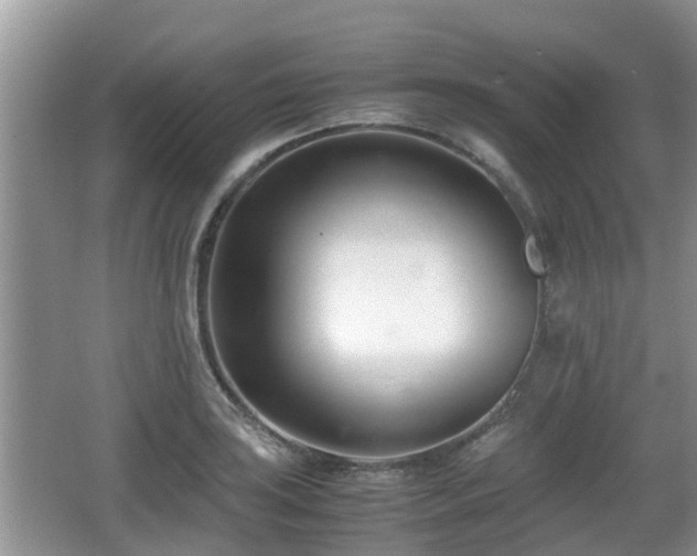 X0000062131035200512121210