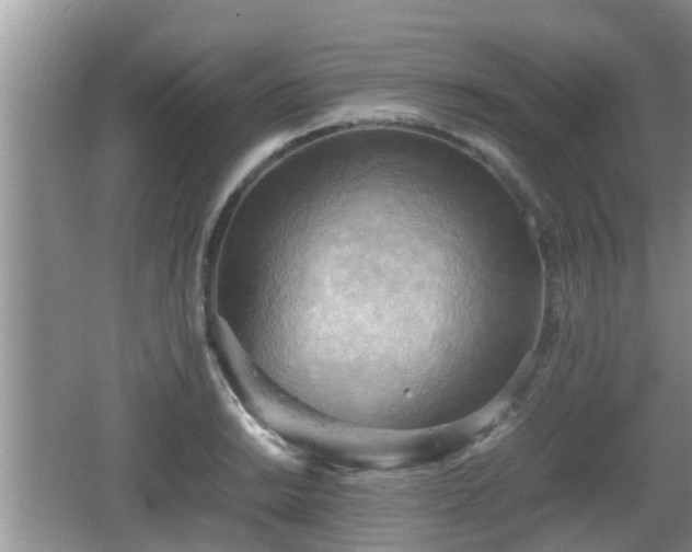 X0000062131038200512121210