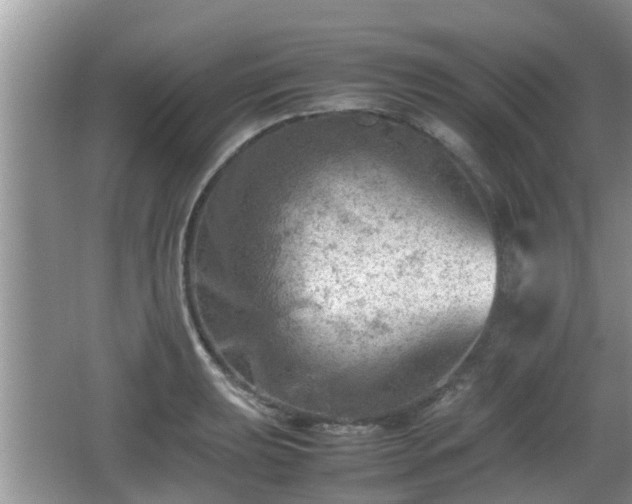 X0000062131039200512121210