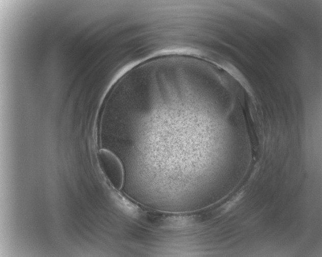 X0000062131044200512121210