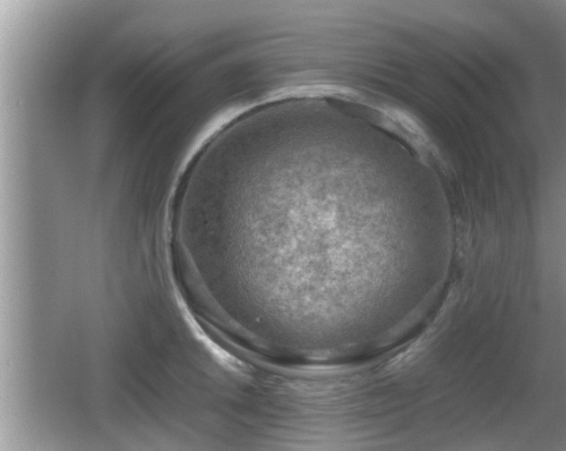 X0000062131046200512121210