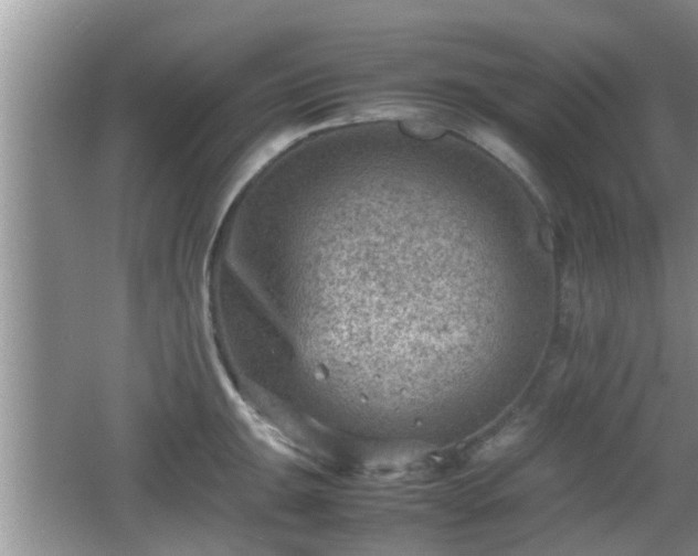 X0000062131047200512121210