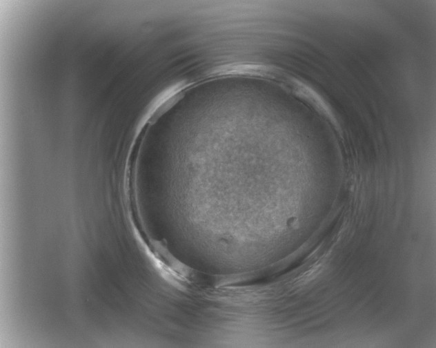 X0000062131050200512121210