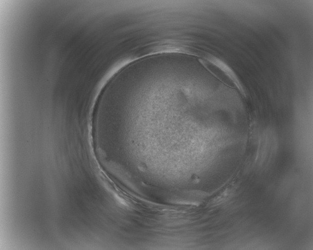 X0000062131051200512121210