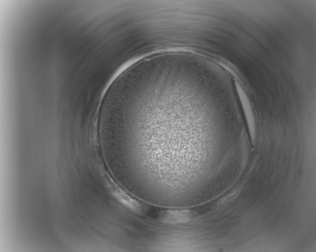 X0000062131052200512121210