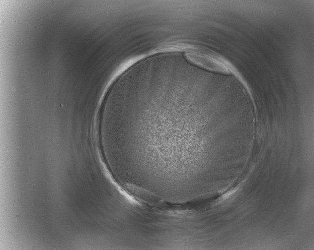 X0000062131053200512121210