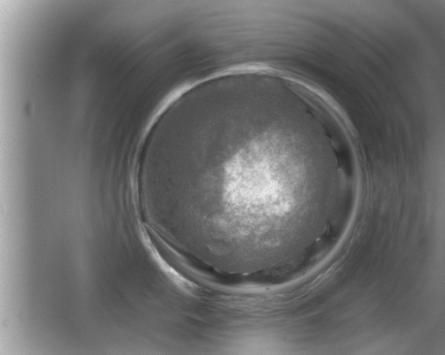 X0000062131054200512121210