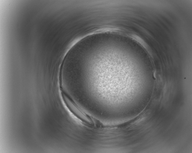 X0000062131055200512121210