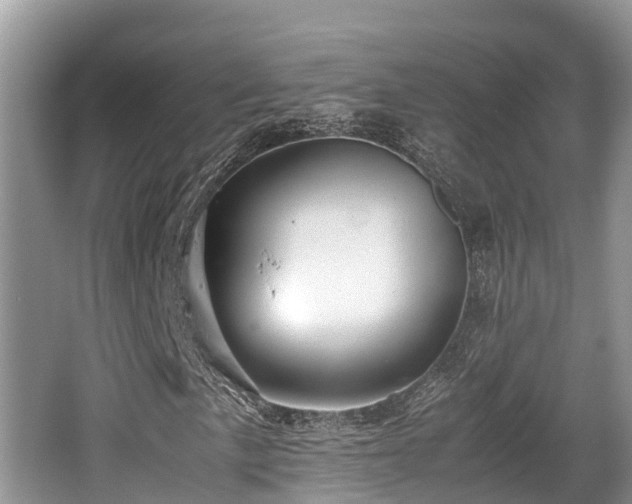 X0000062131057200512121210