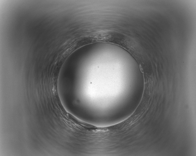 X0000062131058200512121210