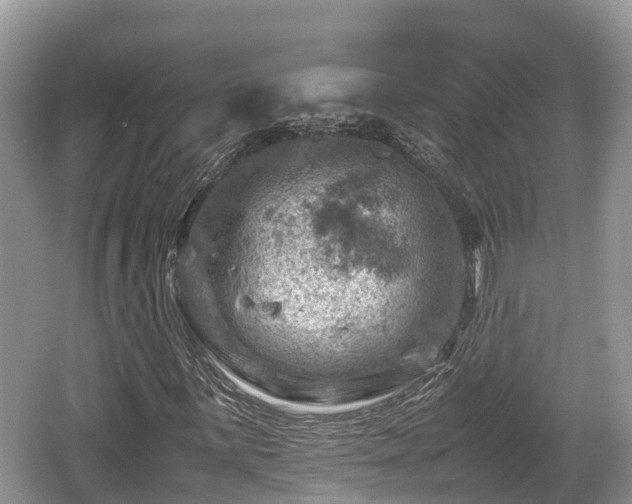 X0000062131059200512121210