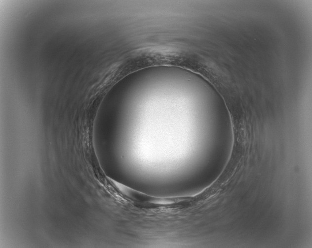 X0000062131061200512121209