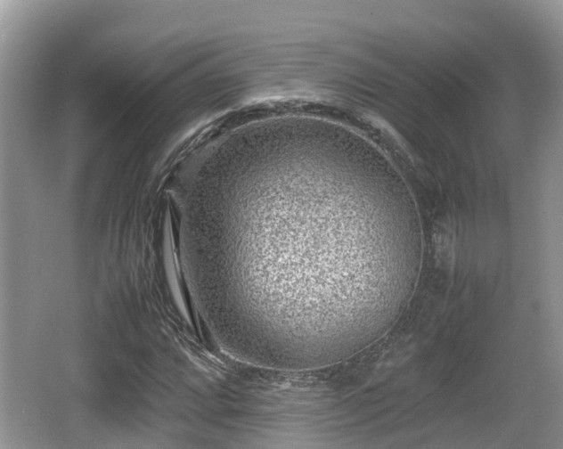 X0000062131064200512121209