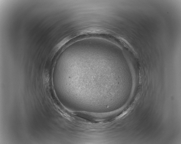 X0000062131065200512121209