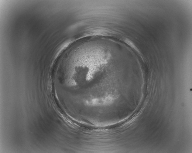 X0000062131067200512121209