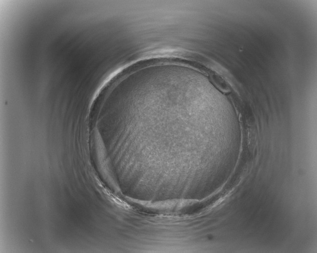 X0000062131069200512121209