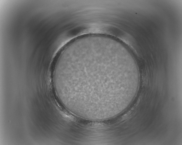 X0000062131070200512121209